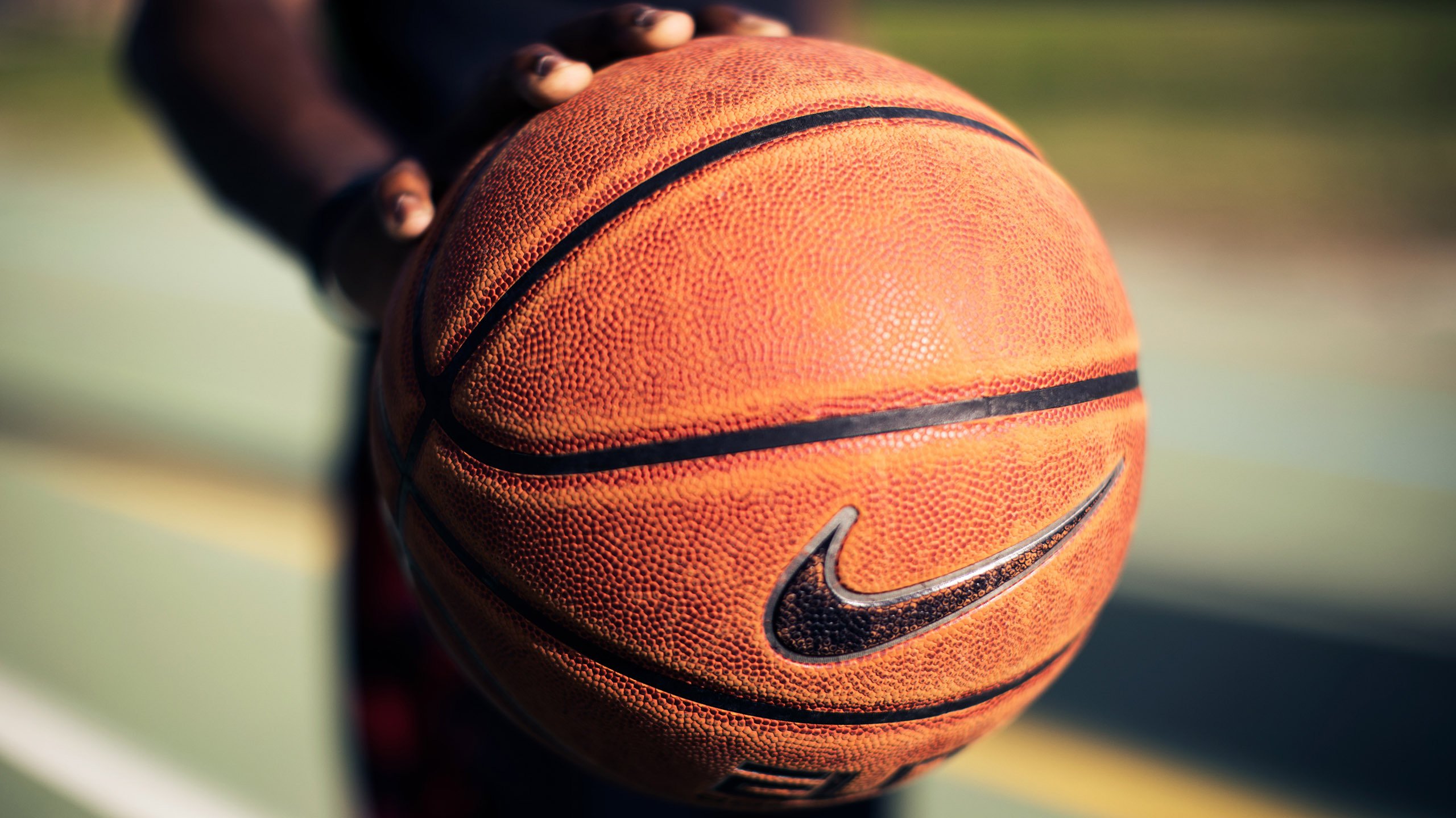 2026足球世界杯-莎拉波娃跨界封神，五赛季统治NBA，公牛球迷陷入疯狂！